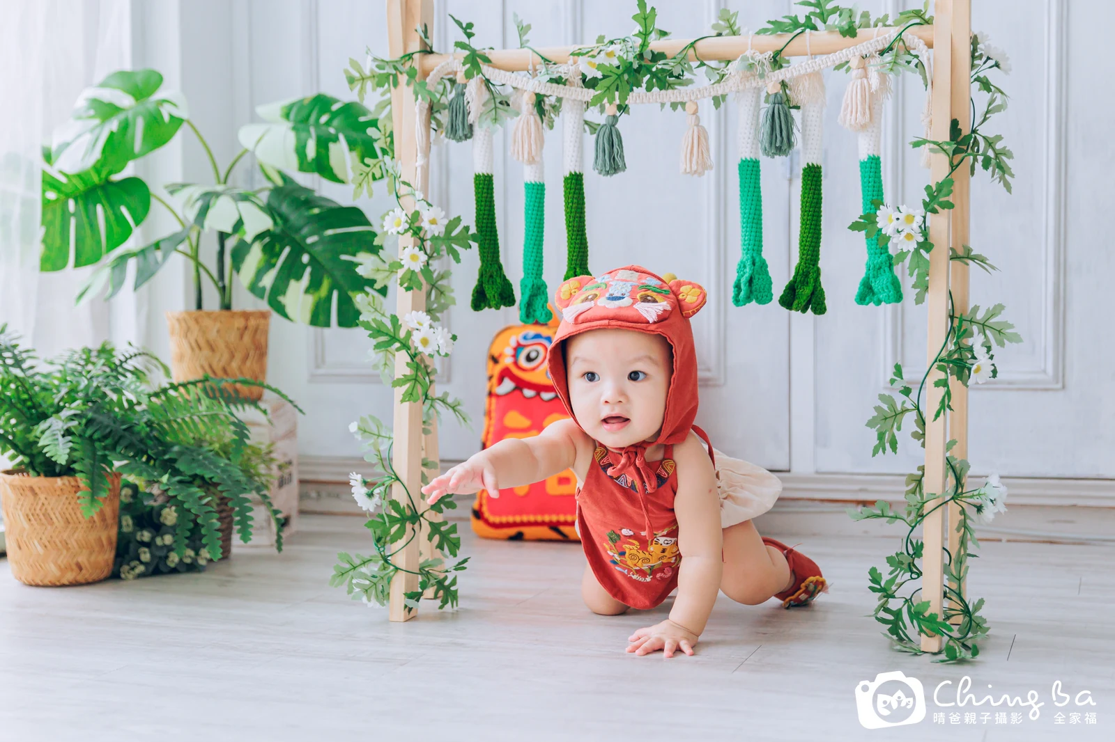 茶茶的抓周時光——晴爸親子攝影